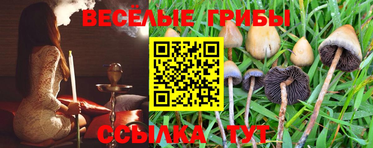 Галлюциногенные грибы Magic Shrooms Волгоград