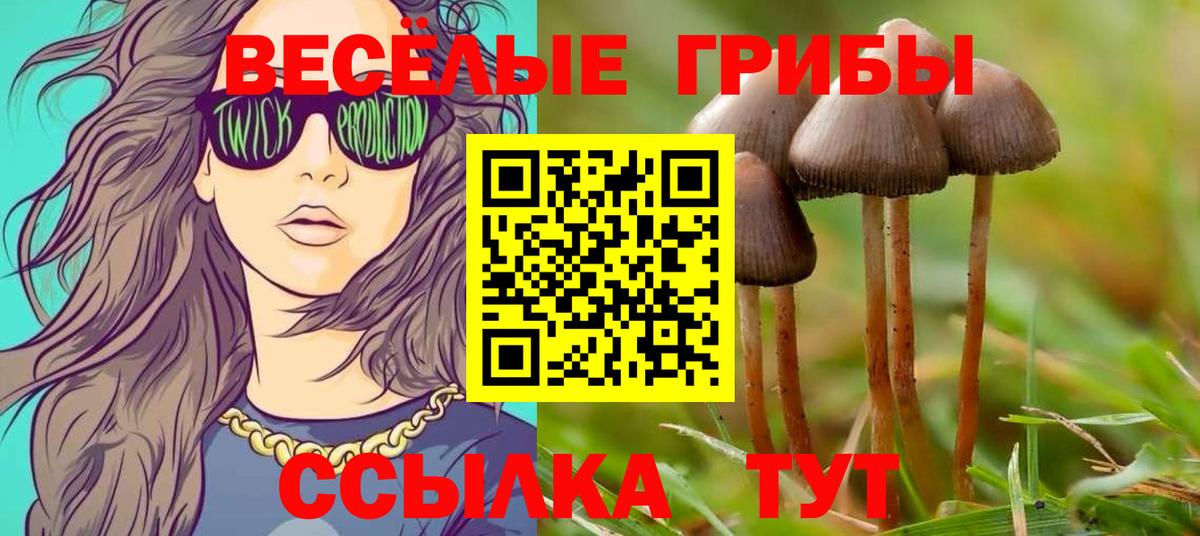 Волгоград  Галлюциногенные грибы прущие грибы  Вход с VPN  купить наркотики сайты  Псилоцибиновые грибы ЛСД 